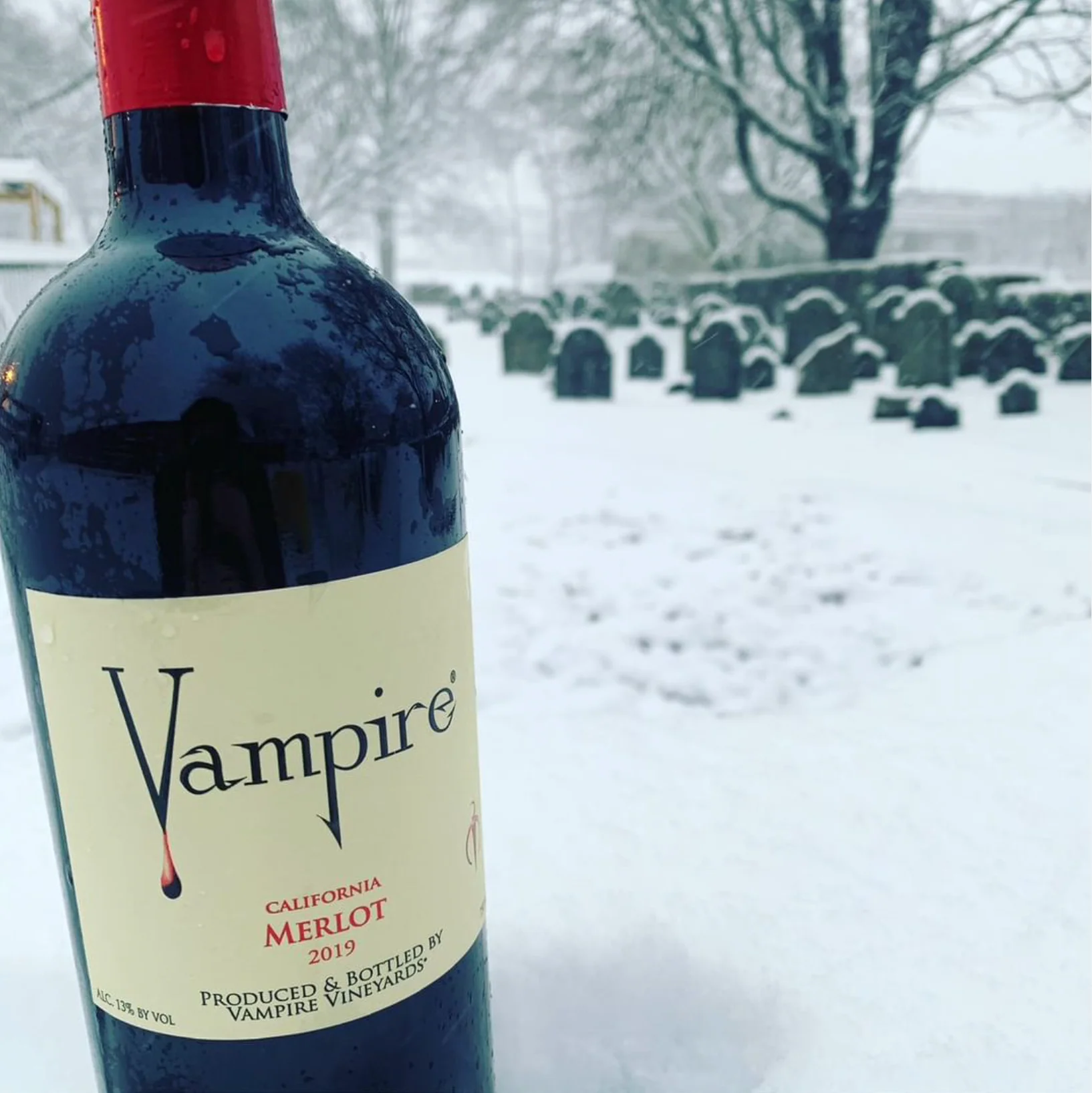 VAMPIRE® MERLOT - Image 3